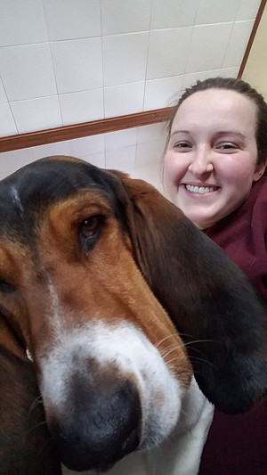 Photo of Ms. Bays and Clyde, the Basset Hound